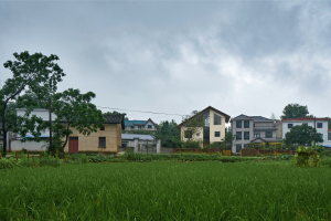 乡居倒影—龙游后山头28号宅
