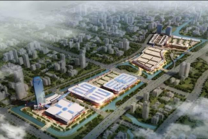 山海乐清，美丽智造——我院助力柳市镇上榜2020年度省美丽城镇行动方案优秀样板