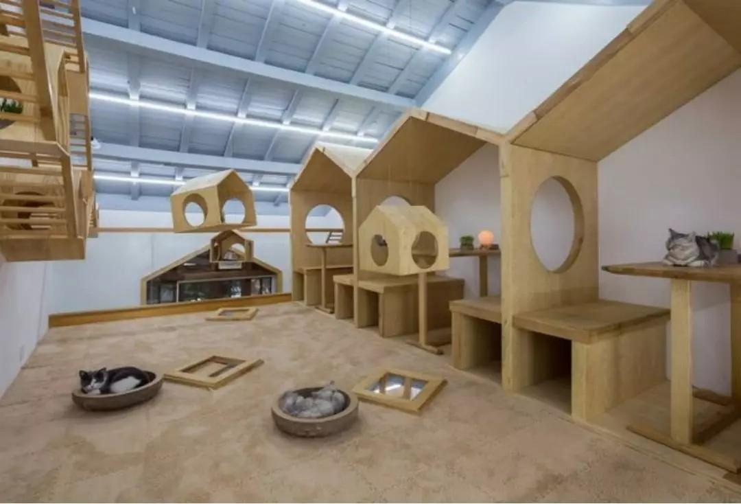 1566549890108164.jpg 20190823_145136_018.jpg