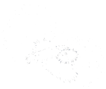 timg (1).gif