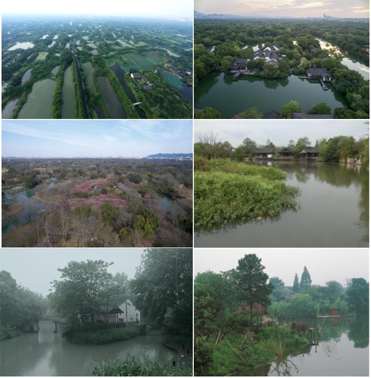 6、西溪湿地整治.jpg