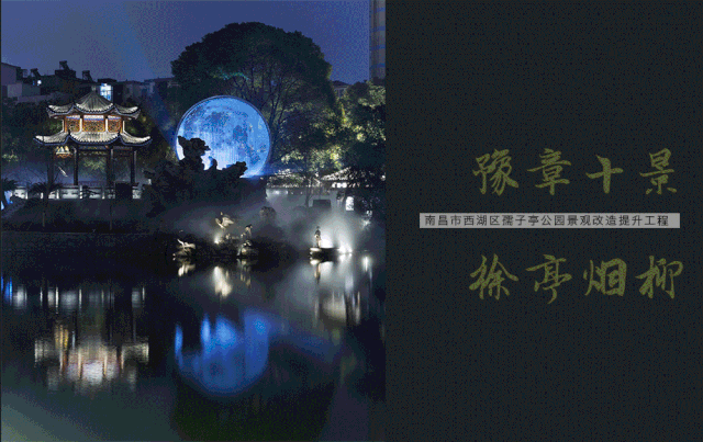 6.gif