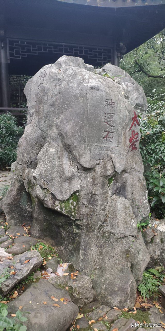 图片41.png