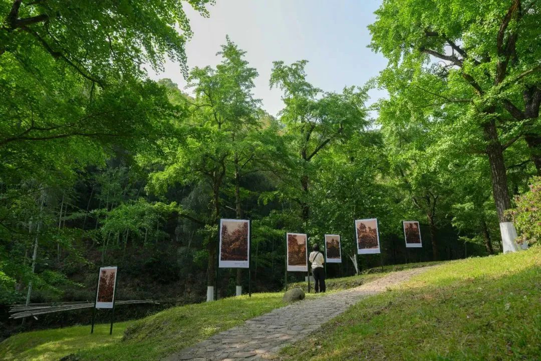 微信图片_20250529142702.jpg