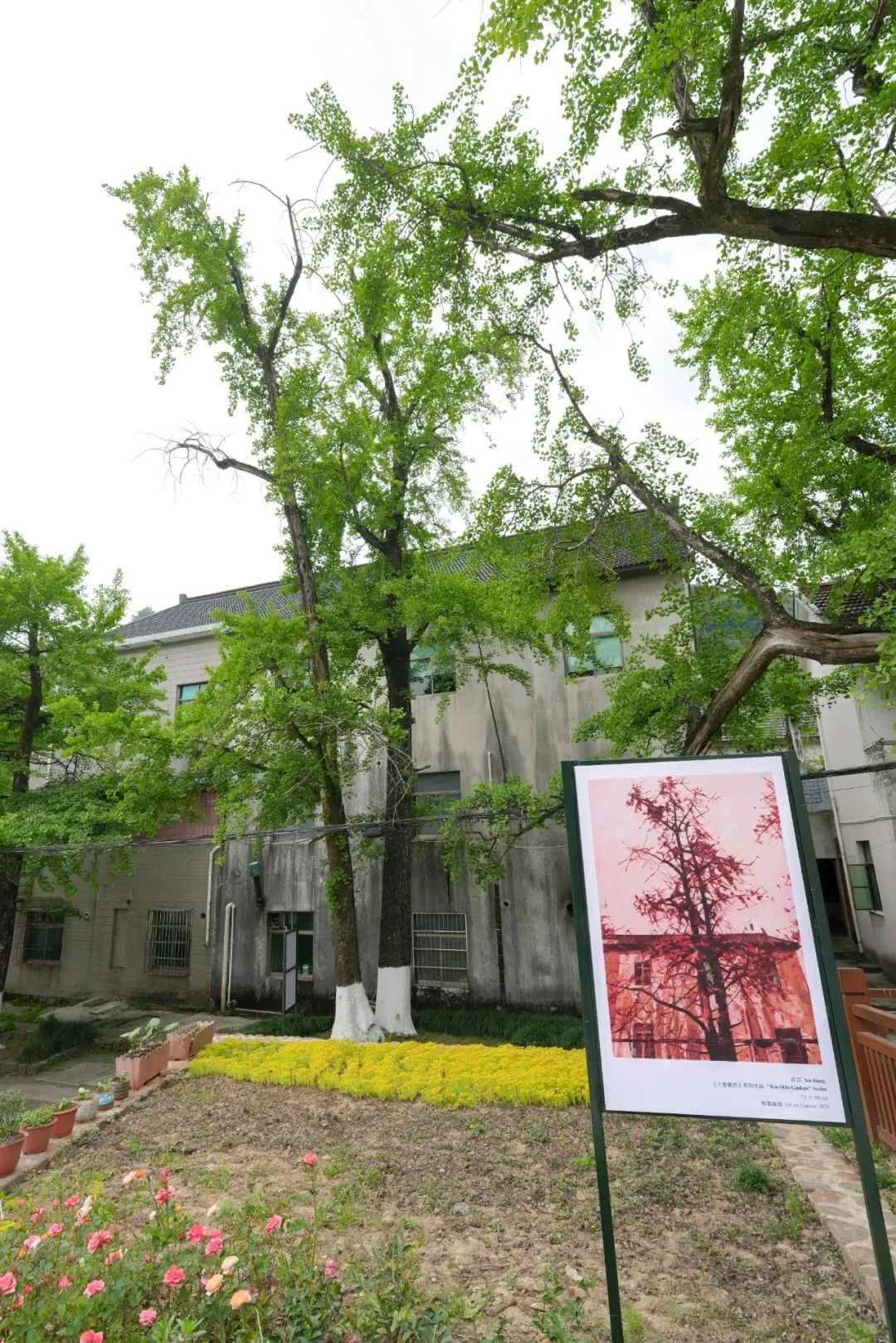 微信图片_20250529142710.jpg