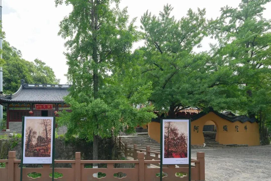 微信图片_20250529142708.jpg