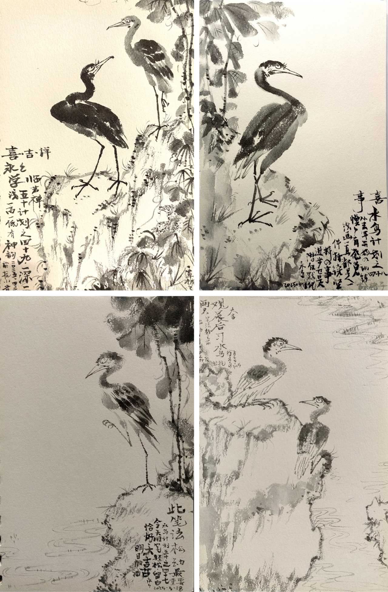 微信图片_20250610134517.png