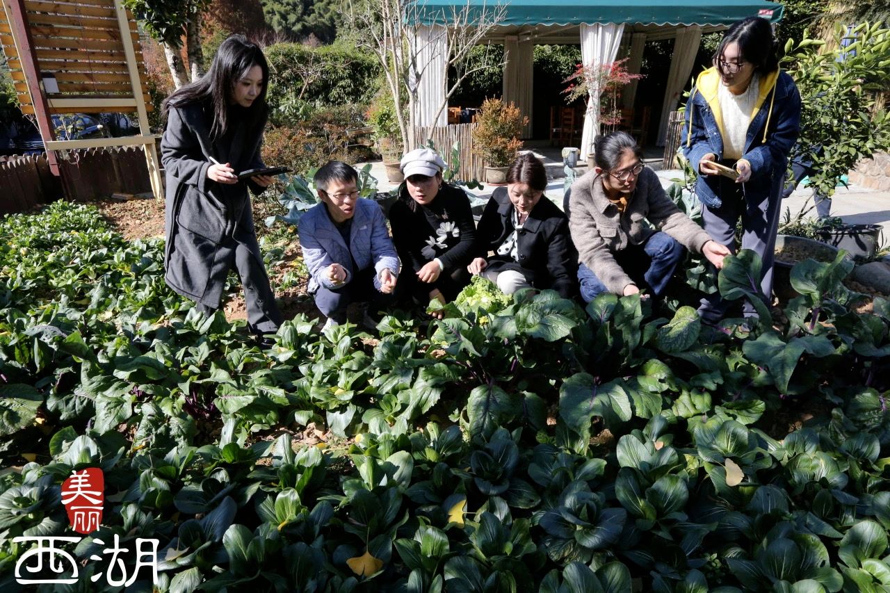 1765520377185103.png 微信图片_2025-12-12_141319_663.png