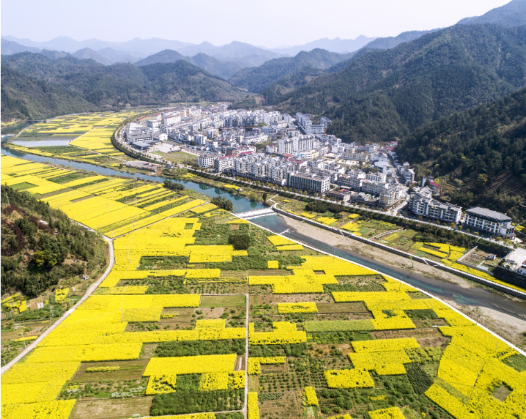 淳安县临岐镇全域规划（美丽城镇建设行动方案篇）