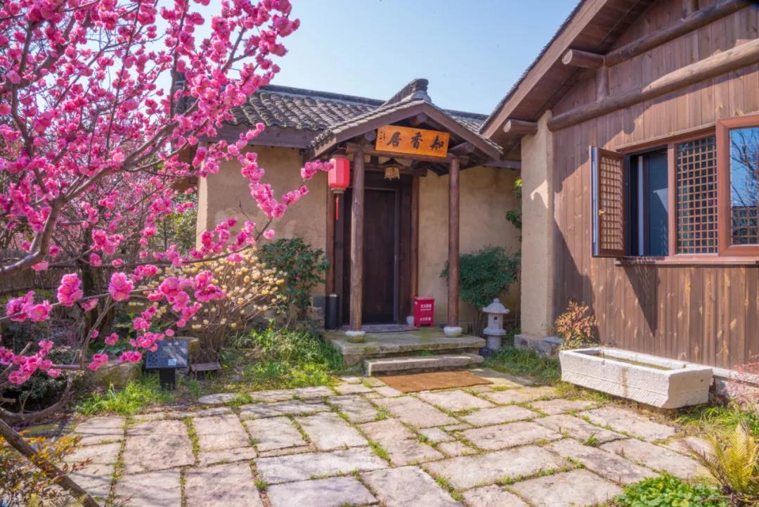 △庭院·成果展示（三）