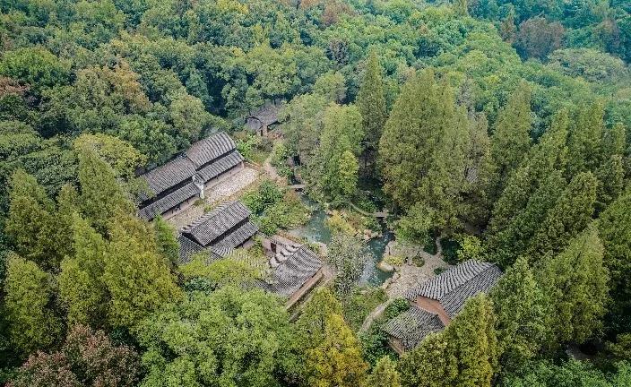 项目展示丨杭州植物园蔷薇园配套设施和景观设计