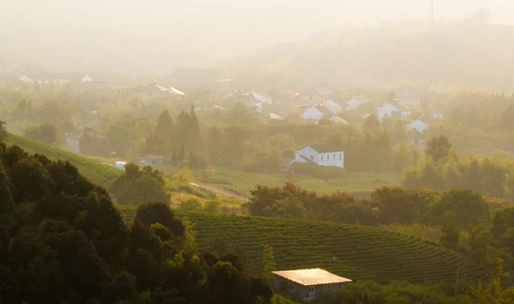 妙西西塞山旅游度假区入口景观提升工程