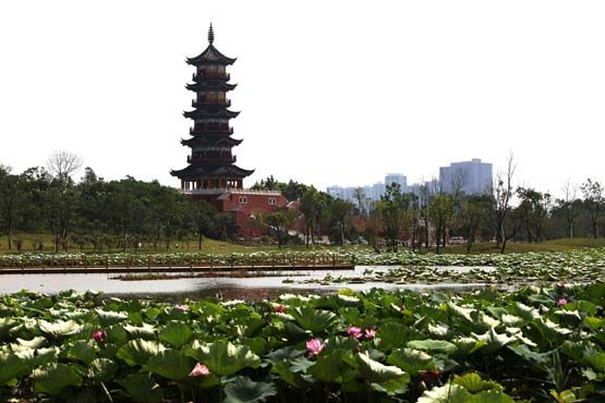图 1