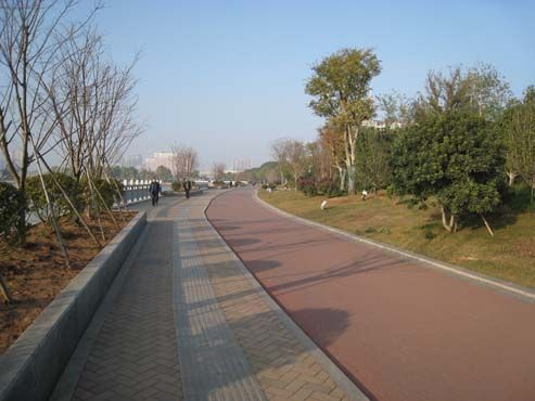 图 2