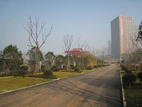 图 8