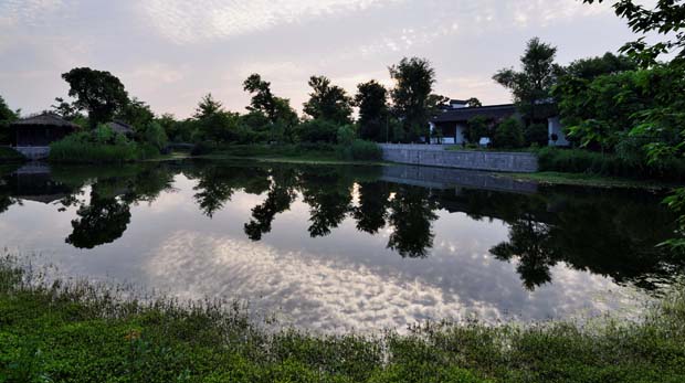 西溪湿地二期